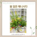 파주시장애인주간보호센터 | 봄 노란꽃식물심기 장애인 원예애니시다파주원예 테라피 그림책환경 출강