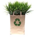 하나로 농협주유소 앞 이미지