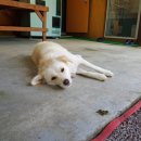 보현정사 앞 이미지