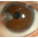 대천안경원 이미지