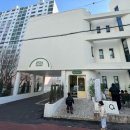 코리아태권도 키즈플레이 | 울산 키즈카페 대관 플레이유유 키즈풀 민트오아시스 후기