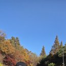 리라농장 이미지