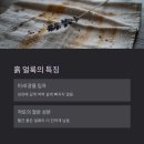 친환경운동화손세탁 | 흙 얼룩 세탁법, 운동복에 실제로 적용해본 후기