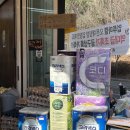 원마켓 | 천안 업투마켓 백석점 공동구매 마켓 다녀온 후기 | 3만원 가성비 쇼핑