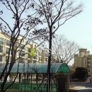 비류대로232번길 Daum카페