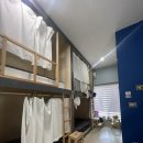 제주도 게스트하우스 친절한경배씨 | [제주도 게스트하우스] 친절한경배씨 - 동쪽 게스트하우스. 월정리. 주류 무제한 파티.