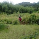 형산리 마을회관 이미지