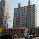 쥬라기동물종합병원 이미지