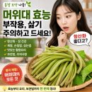 아름농원 | 머위대효능, 부작용 삶기 주의하고 드세요
