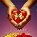 수직의고독 이미지