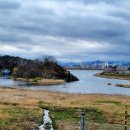 문경참미나리 미돈가 이미지