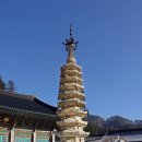 월정사 - 1011 | 월정사
