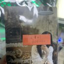 동구청 | [시서채세상 후기] 광주동구청앞사진관 포근스튜디오 · 광주증명사진 · 광주사진관