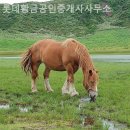 롯데황금공인중개사사무소 이미지