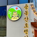 낭만장사꾼 용봉산호랭이 이미지