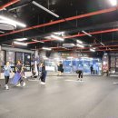 메이져복싱피트니스 이미지