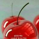 경포빌딩