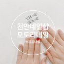 모도리네일 - 천안시 서북구 | 모도리네일