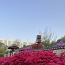 어반스케치 일러스트 네이버블로그