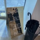 오동동175 | [마산미용실/오동동미용실]메이26_복구매직 후기 :)