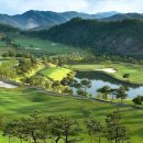 엘리시안 강촌 골프연습장 이미지