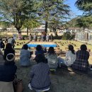 화순도곡중 이미지