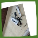 청백세탁 이미지