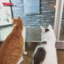 풍경호스텔 이미지