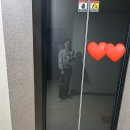 바이탈사인 | 뻔한 회색 맨투맨 지겨울 때? 레이브 vs 바이탈사인 내돈내산 후기+착샷