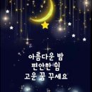 z 겔럭시플립 1세대 이미지