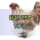농업회사법인(주)한국원종 | 닭고기 관련주 TOP10 및 조류인플루엔자 대장주 수혜주 테마주