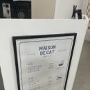 메종 드 캣 이미지