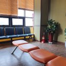 제주소망의원 이미지