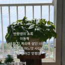 반평생의 초록 이미지