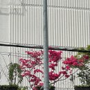 남부순환로72길 이미지