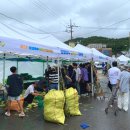 와니당 이미지