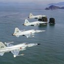 F-5 Freedom Fighter 개발사 「8」 (완결)