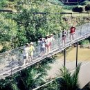 찬송농장 이미지