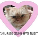 영동빌딩 | [동해] 2박3일 동해 삼척 여름휴가! 동해 먹거리 편 (장군시오야끼는 사랑입니다ㅎㅎ)