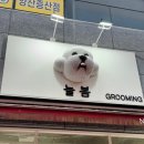 늘봄 그루밍 이미지