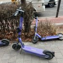 냠냠와플 | 와플 대학 두바이와플 성공 후기 꿀팁