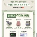 필더홈 | 더필더디자인 슈퍼싱글 침대 내돈내산 후기