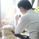 올어바웃도그 이미지