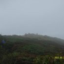 하루의 기억 이미지