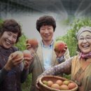 농민용역 이미지