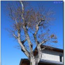 대림명품한우식당 이미지