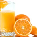 오렌지 재배 방법