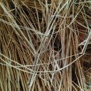 소로 브레드 이미지