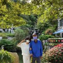 화수목 관광농원 이미지