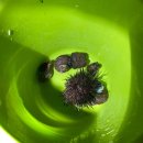 바다체험학교 현포 이미지